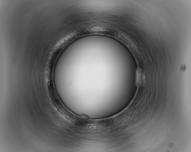 X0000100210732200806131251