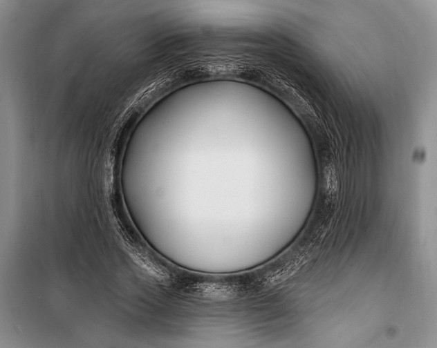 X0000100210733200806131251