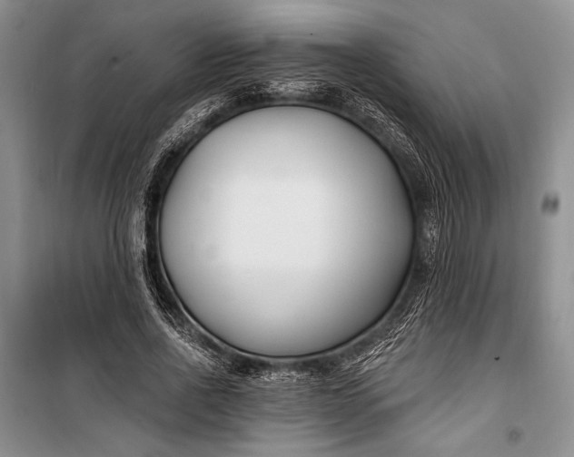 X0000100210734200806131251