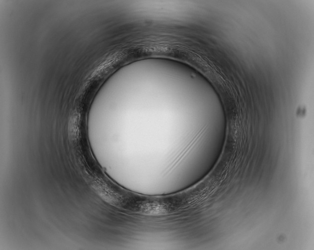 X0000100210735200806131251