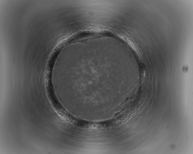 X0000100210736200806131251