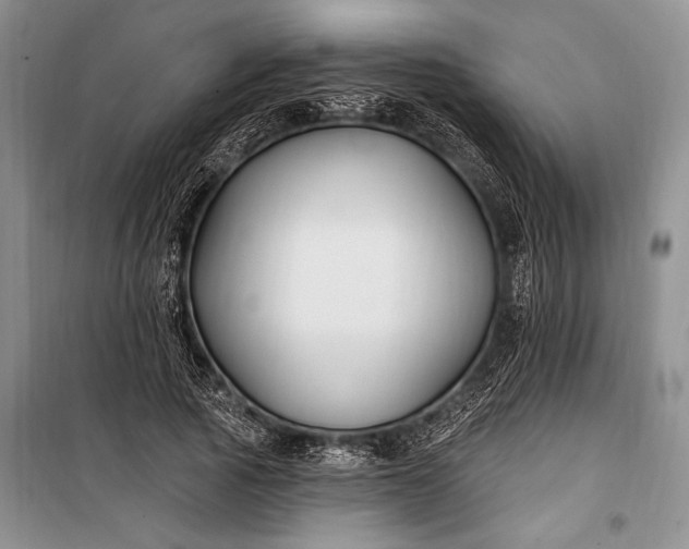 X0000100210737200806131251