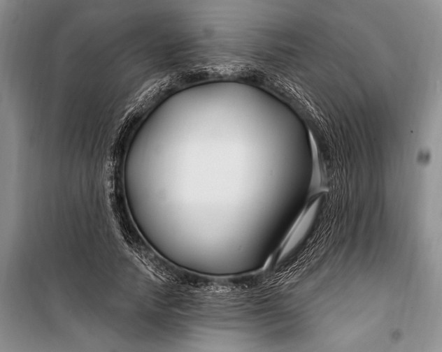 X0000100210738200806131251