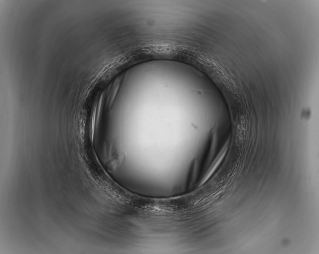 X0000100210739200806131251