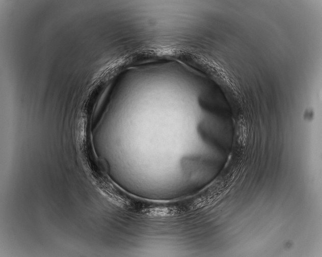 X0000100210740200806131251