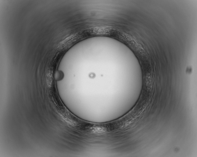 X0000100210741200806131251