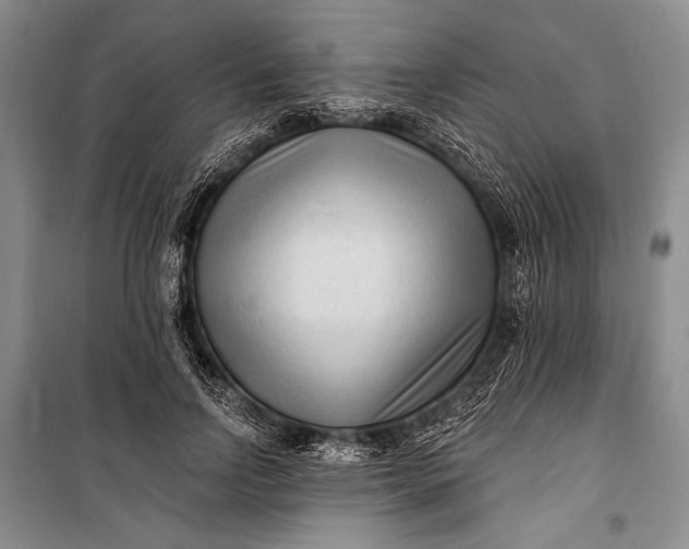 X0000100210742200806131251