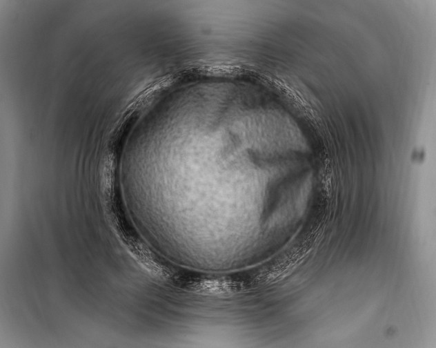 X0000100210744200806131251