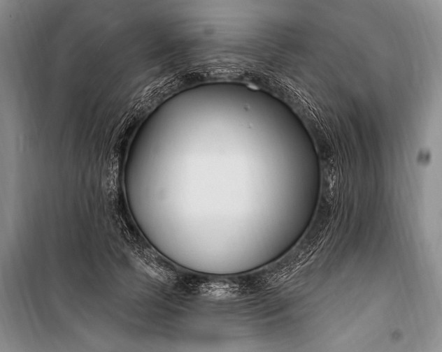 X0000100210745200806131251