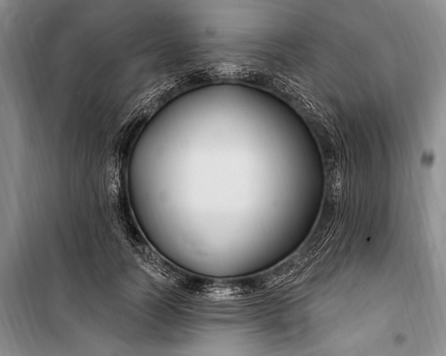 X0000100210746200806131251