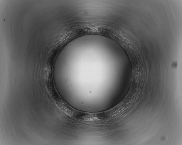 X0000100210747200806131251