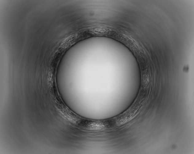 X0000100210749200806131251