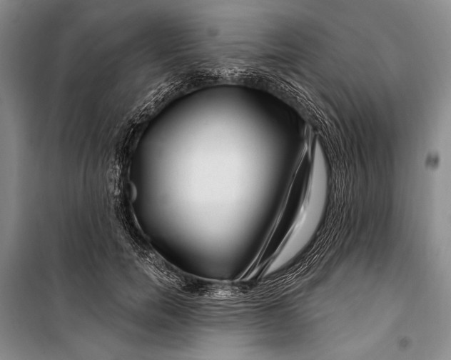 X0000100210750200806131252