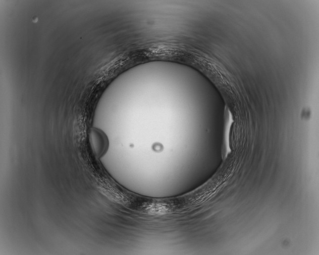 X0000100210751200806131252