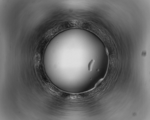 X0000100210752200806131252