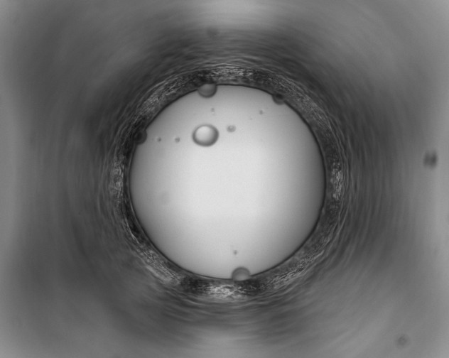 X0000100210753200806131252