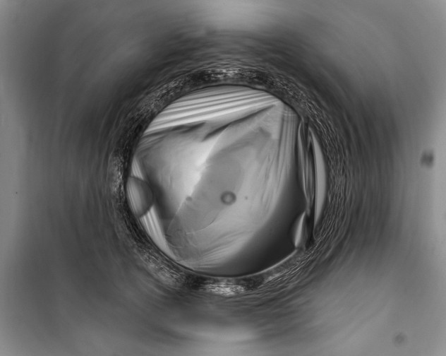 X0000100210754200806131252