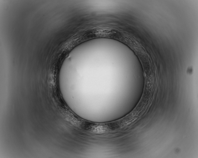 X0000100210755200806131252