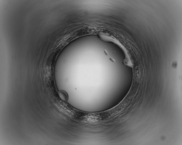 X0000100210756200806131252