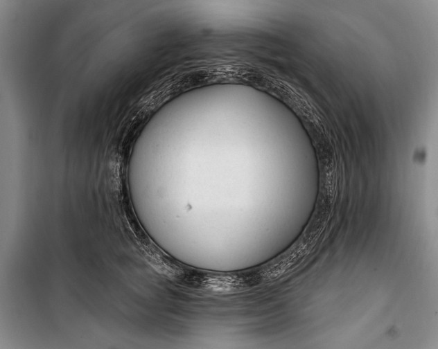 X0000100210757200806131252