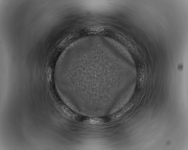 X0000100210758200806131252