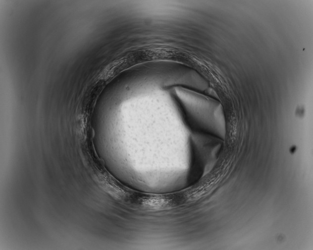 X0000100210759200806131252