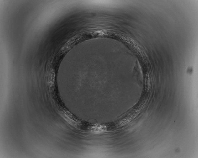 X0000100210760200806131252