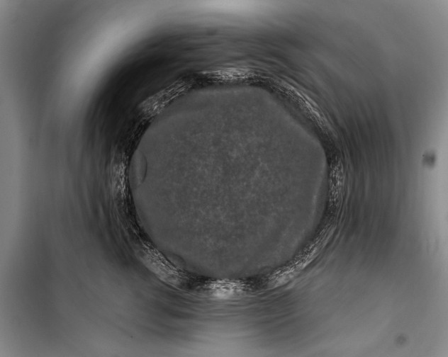 X0000100210762200806131252