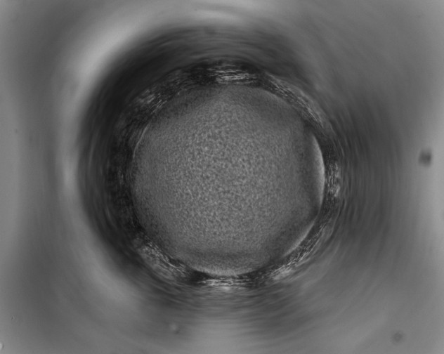 X0000100210763200806131252