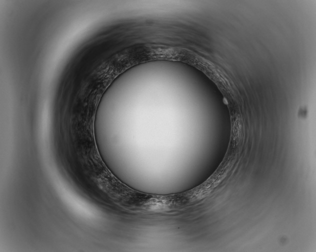 X0000100210764200806131252