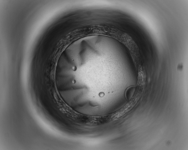 X0000100210765200806131252