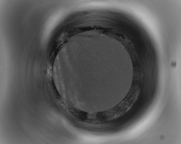 X0000100210766200806131252