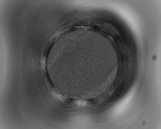 X0000100210767200806131252