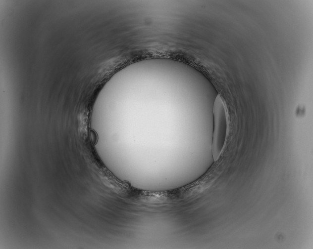 X0000100210768200806131252