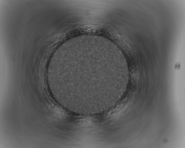 X0000100210769200806131251