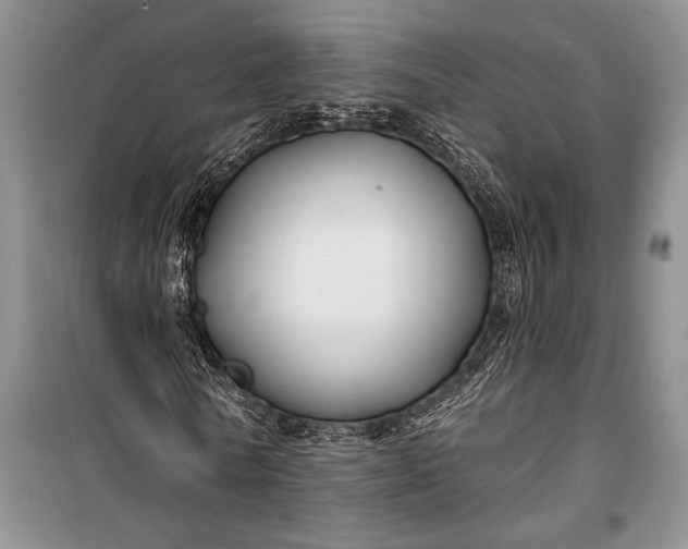 X0000100210770200806131251