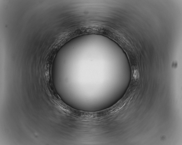 X0000100210771200806131251