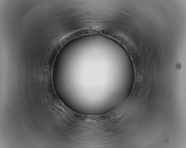 X0000100210773200806131251