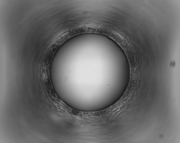 X0000100210774200806131251