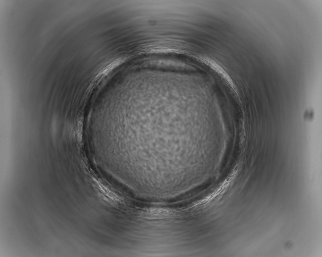 X0000100210777200806131251