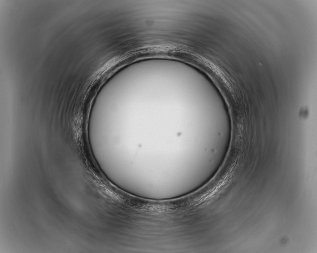 X0000100210778200806131251