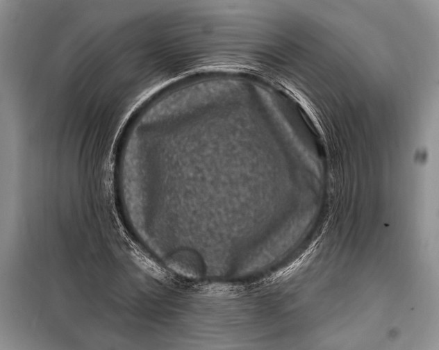 X0000100210779200806131251