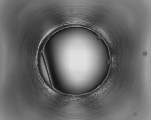 X0000100210780200806131251