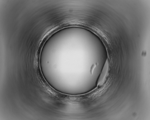 X0000100210782200806131251