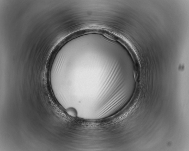 X0000100210783200806131251