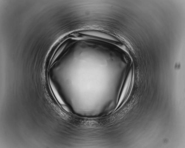 X0000100210784200806131251