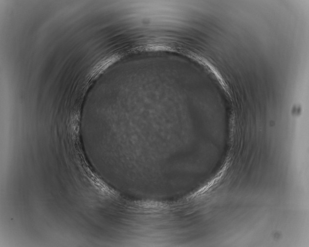 X0000100210785200806131251