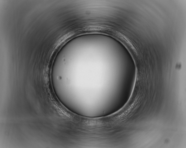 X0000100210786200806131251