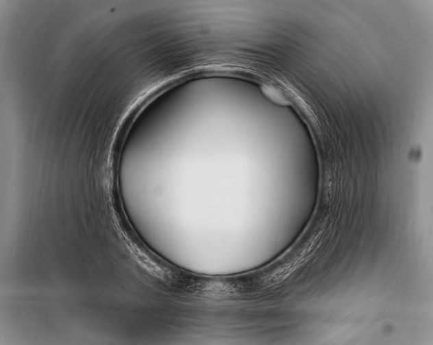 X0000100210787200806131251