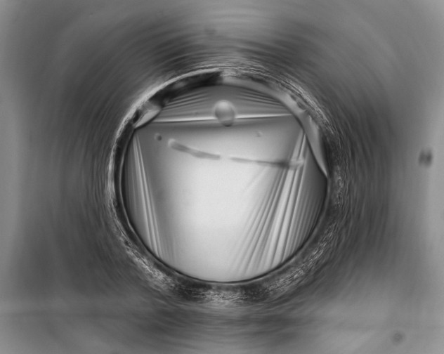 X0000100210788200806131251